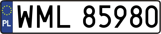 WML85980