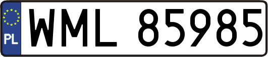 WML85985