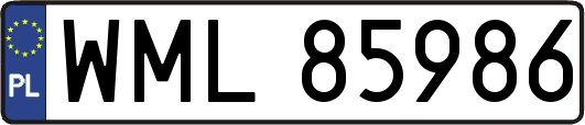 WML85986