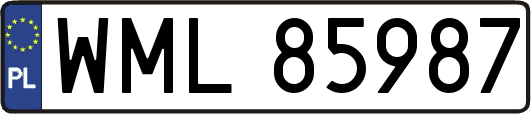 WML85987
