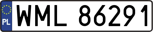 WML86291