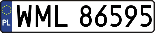 WML86595