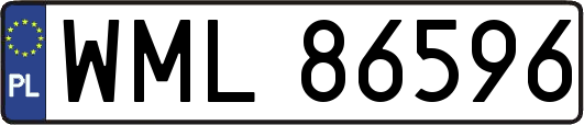 WML86596