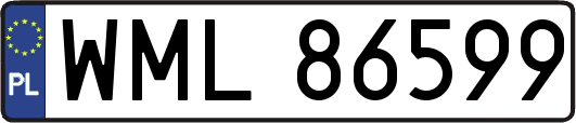 WML86599
