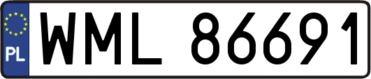WML86691