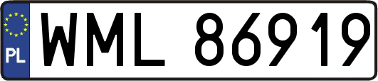 WML86919