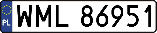 WML86951