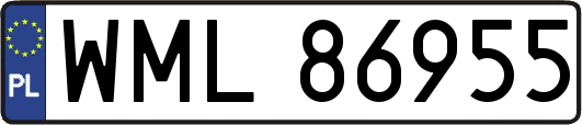 WML86955