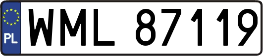 WML87119
