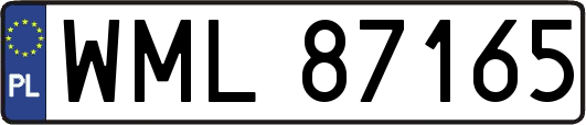 WML87165