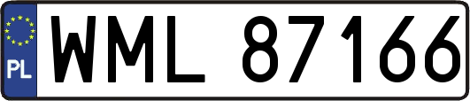 WML87166