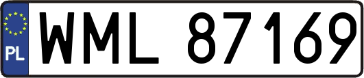 WML87169