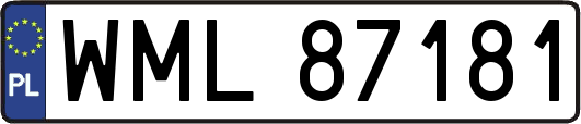 WML87181