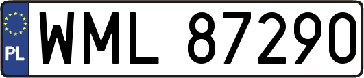 WML87290