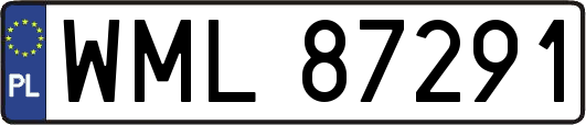 WML87291