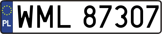 WML87307