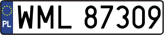 WML87309