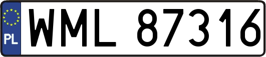 WML87316