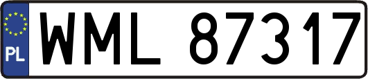 WML87317