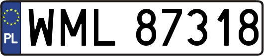 WML87318