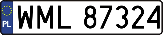WML87324