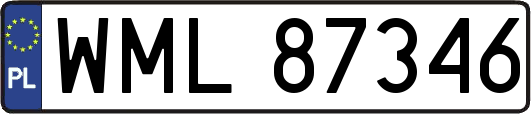 WML87346