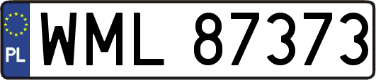 WML87373