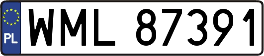 WML87391