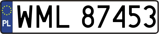 WML87453