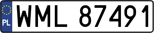 WML87491