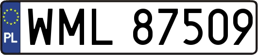 WML87509