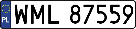 WML87559