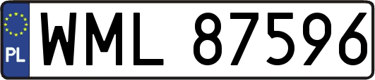 WML87596
