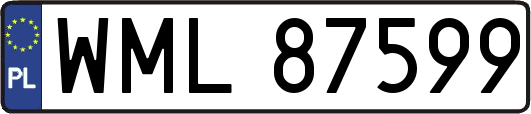 WML87599
