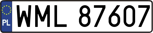 WML87607