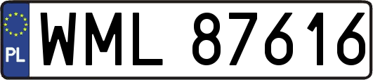 WML87616