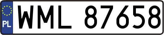 WML87658