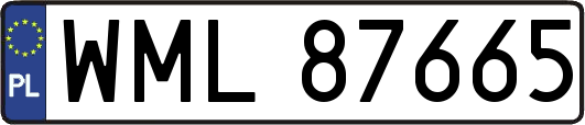 WML87665