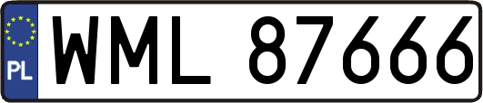 WML87666