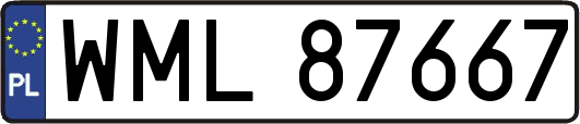 WML87667