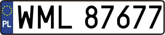 WML87677