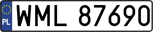 WML87690
