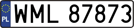 WML87873