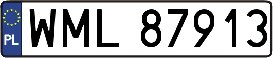 WML87913