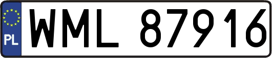 WML87916