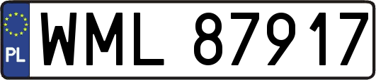 WML87917