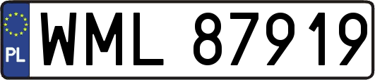 WML87919