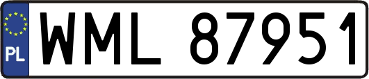 WML87951
