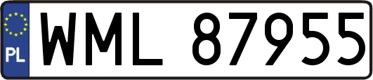 WML87955