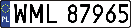 WML87965